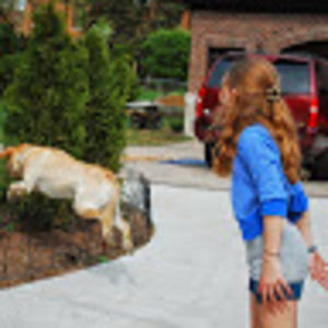 Meet your Posher, Erin